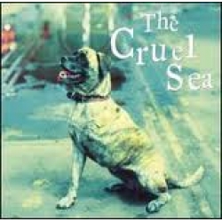 Cruel Sea - Three legged dog